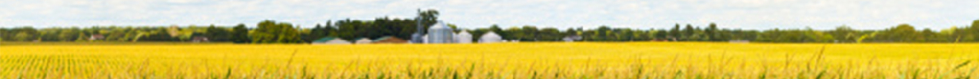 Crop field on a farm.