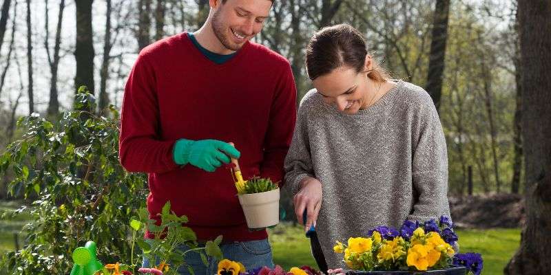 Couple updating their home's garden.